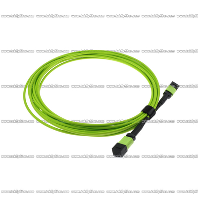 LWL - Kabel in mehreren Betriebsarten 12 OM5 MPO entkernt 3.0mm LSZH MPO Verbindungskabel