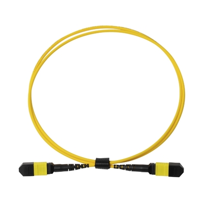 Plenum OFNP MPO Patch Cord 1m 3ft MTP-12 APC weiblich zu MTP-12 APC weiblich Single Mode OS2