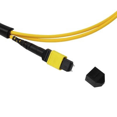Plenum OFNP MPO Patch Cord 1m 3ft MTP-12 APC weiblich zu MTP-12 APC weiblich Single Mode OS2