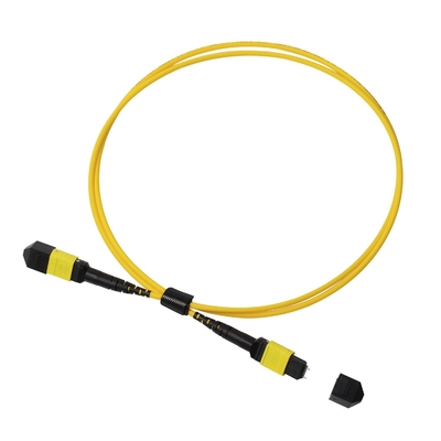 Plenum OFNP MPO Patch Cord 1m 3ft MTP-12 APC weiblich zu MTP-12 APC weiblich Single Mode OS2