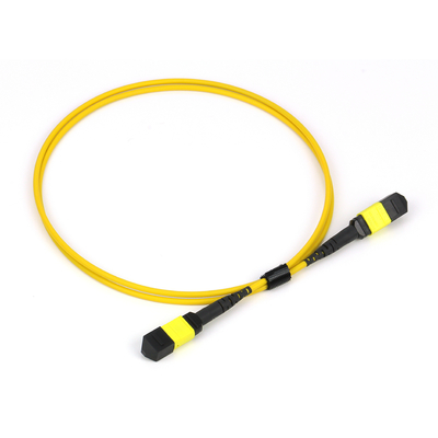 Plenum OFNP MPO Patch Cord 1m 3ft MTP-12 APC weiblich zu MTP-12 APC weiblich Single Mode OS2