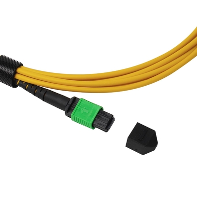 Plenum OFNP MPO Patch Cord 1m 3ft MTP-12 APC weiblich zu MTP-12 APC weiblich Single Mode OS2