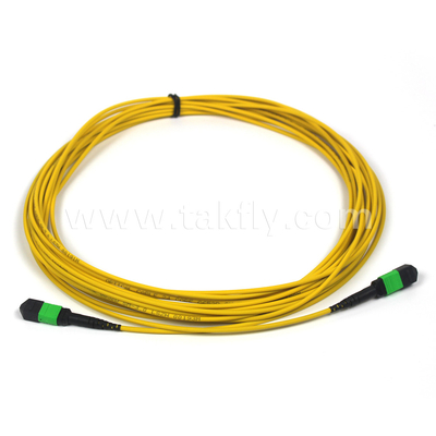3m 10ft MTP-12 APC Weiblich zu MTP-12 APC Weiblich Einzelmodus OS2 Plenum MPO Patch Cord Gelb