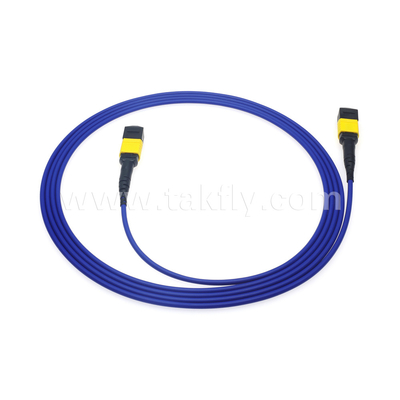 Datenzentrum FTTX Glasfaserkabel MPO Patch Cord MTP Stammkabel Panzer SM MM Jumper