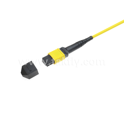 Datenzentrum FTTX Glasfaserkabel MPO Patch Cord MTP Stammkabel Panzer SM MM Jumper