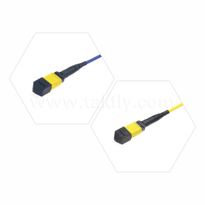 Datenzentrum FTTX Glasfaserkabel MPO Patch Cord MTP Stammkabel Panzer SM MM Jumper