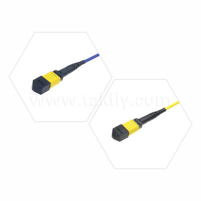 MPO/MTP Patchcord Panzertrunkkabel SM/MM Jumper Glasfaser für Rechenzentrum AI FTTX Telecom