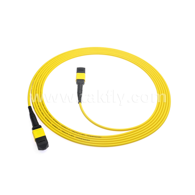 Datenzentrum FTTX Glasfaserkabel MPO Patch Cord MTP Stammkabel Panzer SM MM Jumper