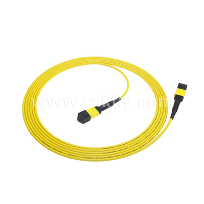 Datenzentrum FTTX Glasfaserkabel MPO Patch Cord MTP Stammkabel Panzer SM MM Jumper