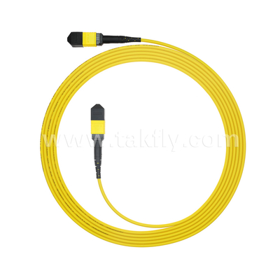 Datenzentrum FTTX Glasfaserkabel MPO Patch Cord MTP Stammkabel Panzer SM MM Jumper