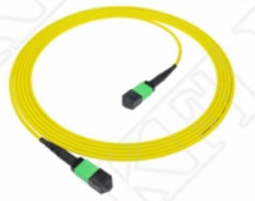 2m 7ft MTP Patch Cord Plenum OFNP MPO Patch Cord Kabel 3,0mm MTP 12F APC Weibliche Elite