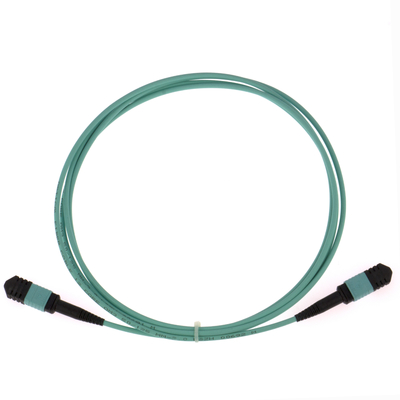 Elite Multimode OM3 50/125, Plenum OFNP Typ B MPO Patch Cord 3m 10ft MTP-12 PC weiblich zu MTP-12 PC weiblich
