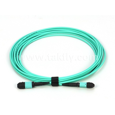 Elite Multimode OM3 50/125 Plenum OFNP Typ B MPO Patch Cord 30m 100ft MTP-12 PC weiblich zu MTP-12 PC weiblich