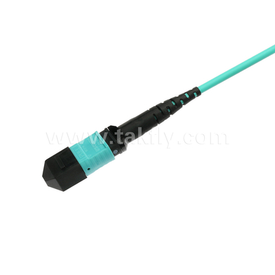 Elite Multimode OM3 50/125 Plenum OFNP Typ B MPO Patch Cord 30m 100ft MTP-12 PC weiblich zu MTP-12 PC weiblich