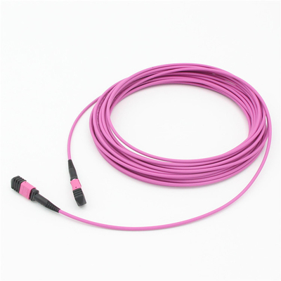 Elite Multimode OM4 50/125, Plenum OFNP Typ B MPO Patch Cord 1m 3ft MTP-12 PC Weiblich auf MTP-12 PC Weiblich