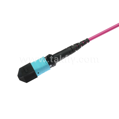 Elite Multimode OM4 50/125, Plenum OFNP Typ B MPO Patch Cord 1m 3ft MTP-12 PC Weiblich auf MTP-12 PC Weiblich