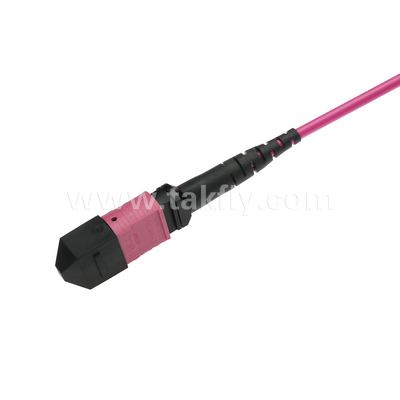 Elite Multimode OM4 50/125, Plenum OFNP Typ B MPO Patch Cord 5m 16ft MTP-12 PC Weiblich zu MTP-12 PC Weiblich