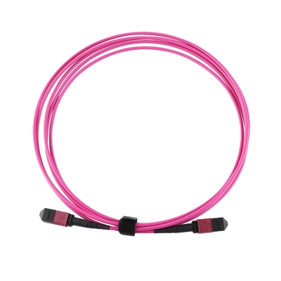 Elite Multimode OM4 50/125, Plenum OFNP Typ B MPO Patch Cord 5m 16ft MTP-12 PC Weiblich zu MTP-12 PC Weiblich