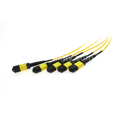 MPO/MTP Fanout Kabel PLC Splitter 1x4 SM/MM Glasfaser für Rechenzentrum FTTX
