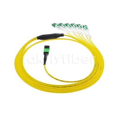 12F MPO-6x LC APC DX Uniboot SM Fiberoptic Patch Cord mit Nickelschuhe 3,0 mm Durchmesser