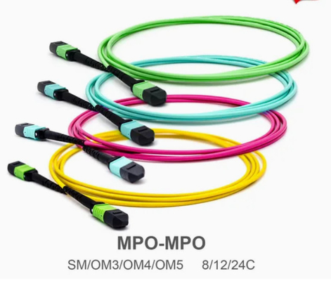 8/12/24core 2m-50m Hochdichte PVC/LSZH UL Zertifizierung Weiblich/Männlich MPO-MPO Sm Om3 Om4 Om5 Stammkabel Patch Cord Fiber Optic Jumper