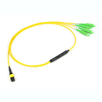 12/24/48/96/144 Kerne LC SC FC MPO MTP Stammkabel Jumper Glasfaser Patchcord