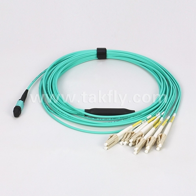 12/24/48/96/144 Kerne LC SC FC MPO MTP Stammkabel Jumper Glasfaser Patchcord