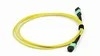 MPO-MPO Glasfaser-Patchkabel für Rechenzentren 8-24 Fasern