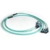 Takfly G657A1 LSZH MPO MTP Fiber Patch Cord Einzelmodus