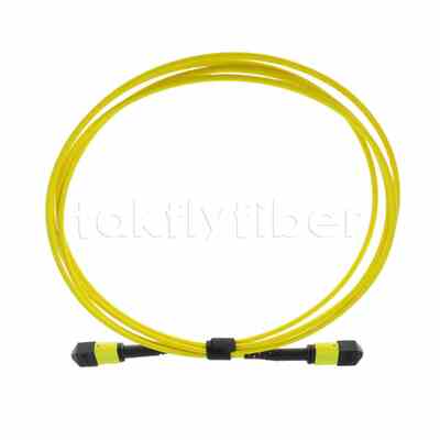 5M MTP® MPO Trunk Cable, MTP®-12 APC (Female) to MTP®-12 APC (Female), 12 Fibers, OS2 Plenum (OFNP), 0.35dB Max