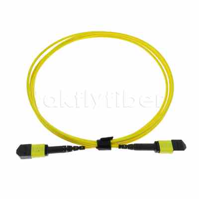 5M MTP® MPO Trunk Cable, MTP®-12 APC (Female) to MTP®-12 APC (Female), 12 Fibers, OS2 Plenum (OFNP), 0.35dB Max