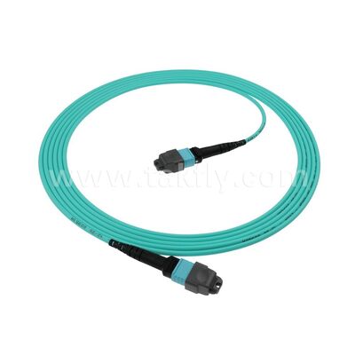 8F 12F 16F 24F MPO MTP Männlich Weiblich OM3 OM4 OM5 Multimode Multimode Glasfaser Patchcord / Glasfaser Patch Kabel / Glasfaser Breakout Kabel / Glasfaser Stammkabel für Hochdichte-Datenzentrum