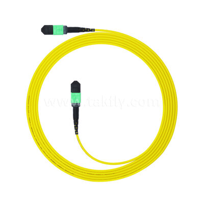 MPO MTP Männlich Weiblich 8F 12F 16F 24F SM OS2 G652D G657A1 G657A2 Glasfaserpatchcord / Glasfaserpatchkabel / Glasfaserbreakoutkabel / Glasfaser Stammkabel