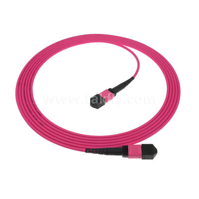 MPO MTP Männlich Weiblich 8F 12F 16F 24F MM Multimode OM4 Glasfaserpatchcord / Glasfaserpatchkabel / Glasfaserbreakoutkabel / Glasfaser Stammkabel
