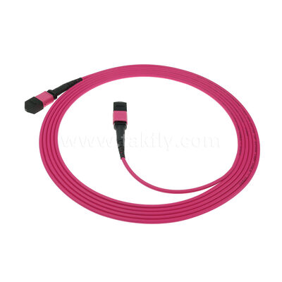 MM Multimode OM4 MPO MTP Männlich Weiblich 8F 12F 16F 24F Glasfaserpatchcord / Glasfaserpatchkabel / Glasfaserbreakoutkabel / Glasfaser-Ständerkabel mit PVC LSZH OFNR OFNP-Außenjacke