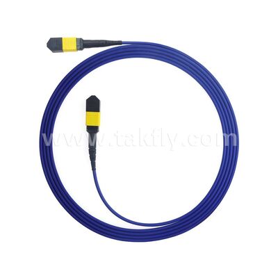 8F 12F 16F 24F MPO MTP Stecker Buchse Glasfaser-Breakout-Kabel Glasfaser-Patchkabel/Glasfaser-Patchkabel/Glasfaser-Trunk-Kabel/Glasfaser-Fanout-Kabel mit Stahlpanzerung