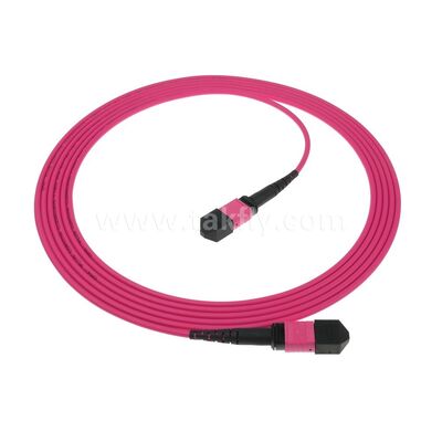 MPO/MTP Patchcord Einzelmodus Multimode LSZH 8f/12f/24f Glasfaserkabel für das Rechenzentrum FTTX