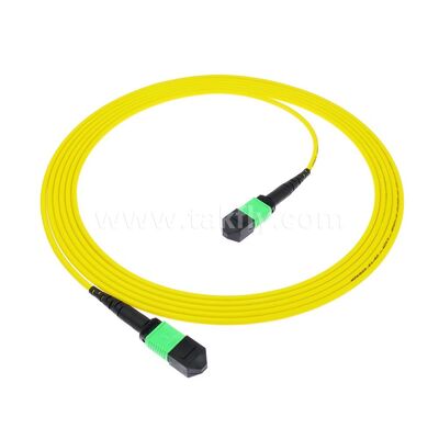 MPO/MTP Patchcord Einzelmodus Multimode LSZH 8f/12f/24f Glasfaserkabel für das Rechenzentrum FTTX