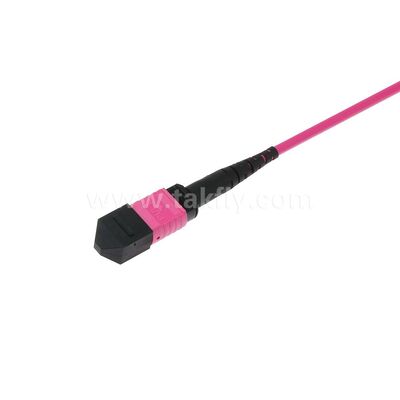 MPO/MTP Patchcord Einzelmodus Multimode LSZH 8f/12f/24f Glasfaserkabel für das Rechenzentrum FTTX