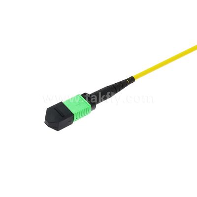 MPO/MTP Patchcord Einzelmodus Multimode LSZH 8f/12f/24f Glasfaserkabel für das Rechenzentrum FTTX