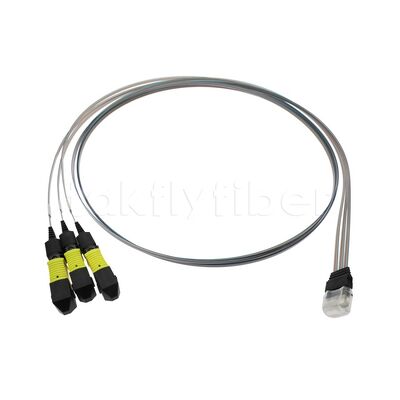 3x12F MTP - 36CH Faser-Array FA-Versammlung mit hoher Übertragungsrate, geringem Verbrauch und hoher Stabilität und Zuverlässigkeit