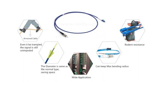 Gepanzerte Faser-Patch-Kabel. Edelstahlröhre und Kevlar verstärkt. Biegeunempfindlich für FTTH, Rechenzentrum und industrielle Netzwerke.
