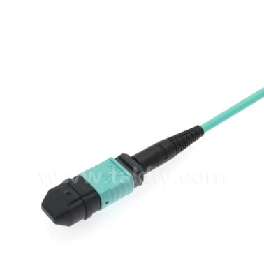 MPO/MTP-LC Breakout Patch Cord. Hochdichte Multi-Core Glasfaserkabellösung