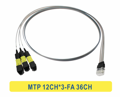 3*12F MTP bis 36CH FA Fiber Array Fiber Optic Patchcord Kabel