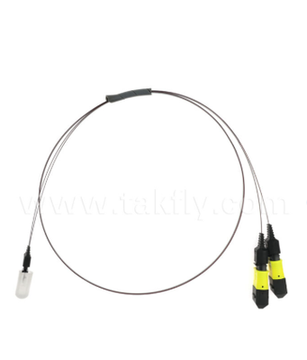 MTP-16CH-FA-Faser-Array-Baugruppe – MTP-Anschluss für 16-Kanal-V-Groove-Faser-Array, geringe Einfügungsdämpfung, für optische Hochgeschwindigkeits-Transceiver und CPO-/Rechenzentrumsanwendungen