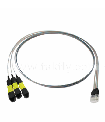 MTP 12CH×3 bis 36-Kanal-Faser-Array-Baugruppe – 3×12CH MTP-Anschlüsse an 36CH V-Groove FAU, geringe Einfügungsdämpfung, für 1,6T optische Transceiver und Co-Packaged Optics (CPO)