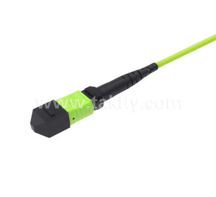 MPO/MTP zu LC Uniboot Breakout Patch Cord OM5 Multimode, 1×24, platzsparende Uniboot LC-Anschlüsse für Hochdichte-Rechenzentrum und 40G/100G/400G-Anwendungen