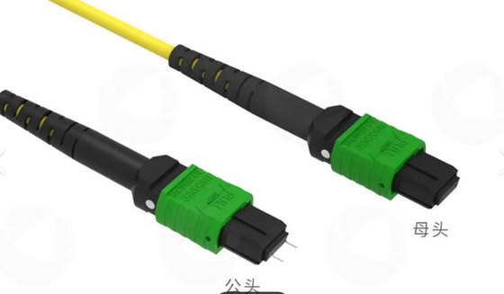 8F 12F 16F 24F MPO MTP Männlich Weiblich SM MM Glasfaserpatchcord / Glasfaserpatchkabel / Glasfaserbreakoutkabel / Glasfaser-Trunkkabel für Datencenter mit hoher Dichte
