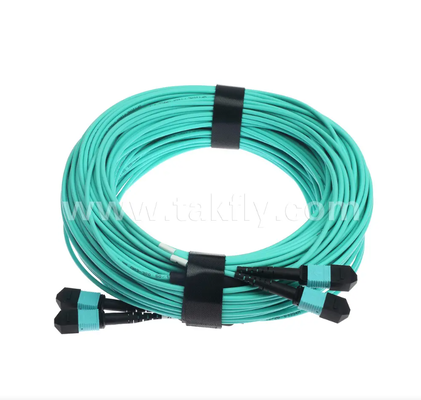 24-Core MPO/PC Mini Trunk Patch Cord – OM3 Multimode, 2×MPO Input to 2×MPO Output, Low Insertion Loss, for High-Density Data Center & 40G/100G SR4 Applications