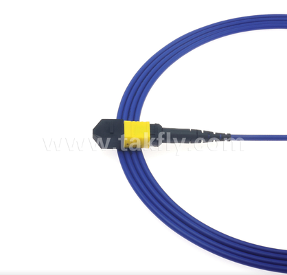 Gepanzerte MPO/MTP Patch Cord    Robuste Metallhülle, verhindert Schäden durch Nagetiere und Zerkleinern, für FTTA / Industrie / Bergbau